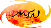 MSN
