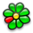 ICQ