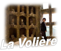 http://img8.xooimage.com/files/0/2/8/la-voli-re-4d497c.png