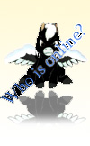 Who is Online