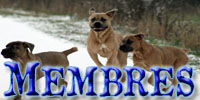 Memberlist