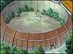 http://img8.xooimage.com/files/1/8/b/arene-de-konoha-17b292.jpg