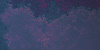 No new posts No new posts