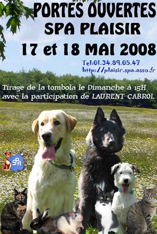 C.A.T.S. asso Forum Index