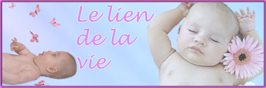 Le lien de la vie Forum Index