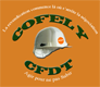 Forum CFDT COFELY Forum Index
