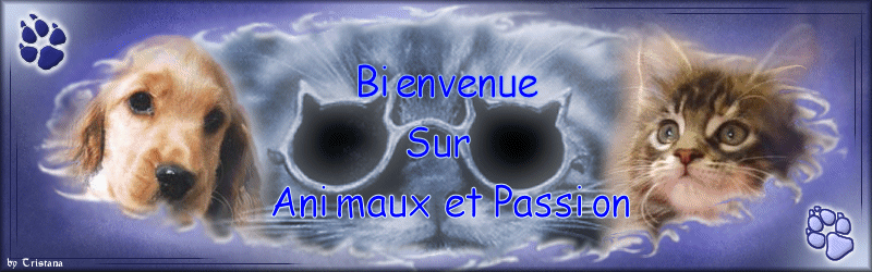Animaux et Passion Forum Index
