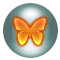 No new posts [ Popular ]
