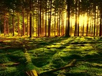 http://img8.xooimage.com/files/3/c/4/an-nur-saarl-1883493edb-1fd8589.jpg