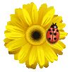 No new posts [ Popular ]