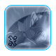 Ce sujet est verrouill�, vous ne pouvez pas �diter les messages ou faire de r�ponses.