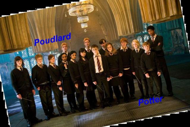 Poudlard Forum Index