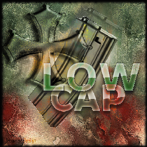 LES LOW-CAP Forum Index