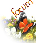 Les Amis de Dieu Forum Index