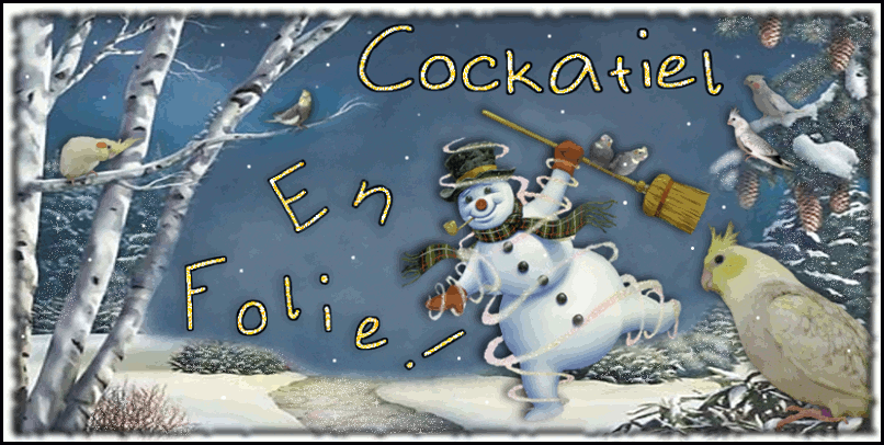 Cockatiel en Folie Forum Index