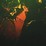No new posts [ Popular ]