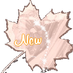 New posts