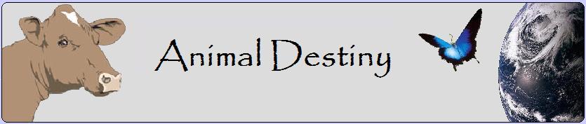 Animal Destiny Forum Index