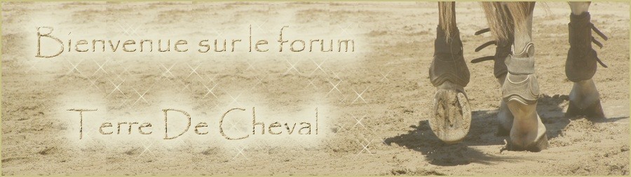 Terre de Cheval Forum Index