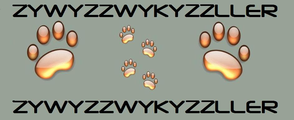 Zywyzzwykyzzller Forum Index