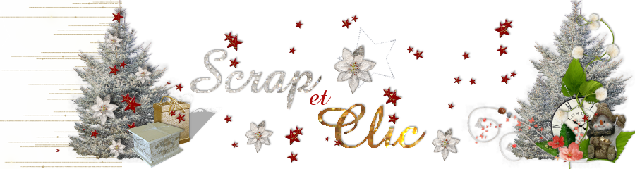 Scrap et clic Forum Index