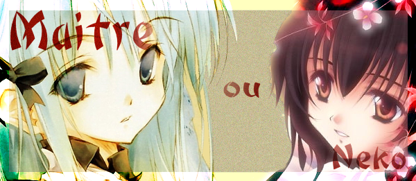 neko ou maître Forum Index