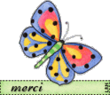merci_papillon