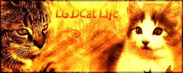 . LGDCat Life . Communauté Française