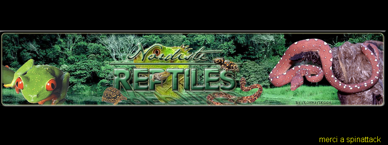 NORDISTE-REPTILES Forum Index