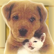 Who is Online