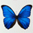 New posts