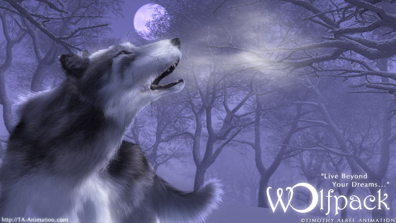 la meute Wolfpack Forum Index