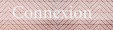 Log in