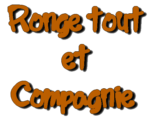 RONGE TOUT ET COMPAGNIE Forum Index