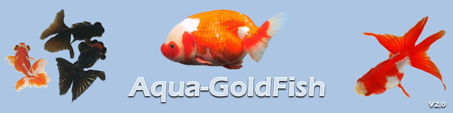Aqua-GoldFish Forum Index