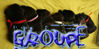 Usergroups