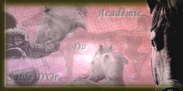 |~♥~| Académie du Sable d'Or |~♥~| Forum Index