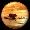 New posts