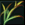 Pas de nouveaux messages Pas de nouveaux messages