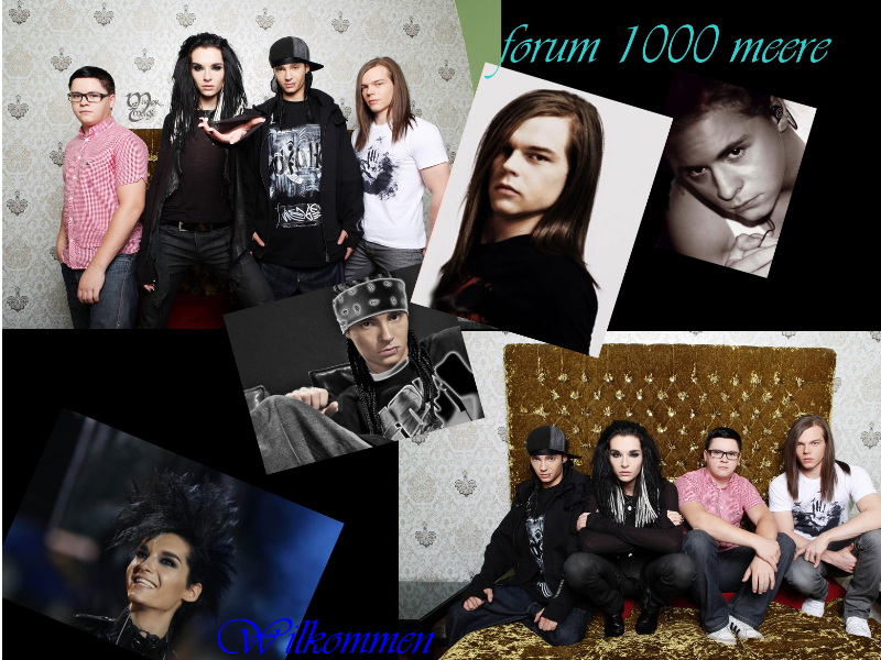 1000 meere Forum Index