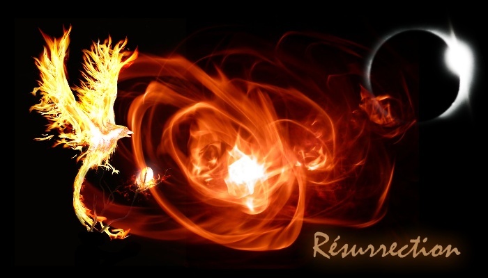 Résurrection Forum Index