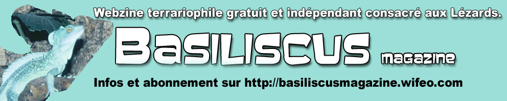 Basiliscus Forum Index
