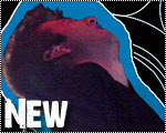 New posts