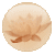 New posts