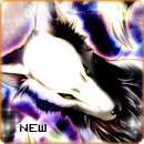 New posts