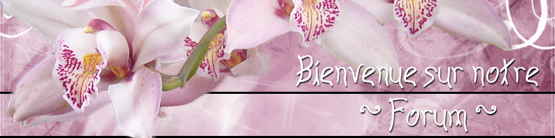 SOEURS LYONNAISES Forum Index