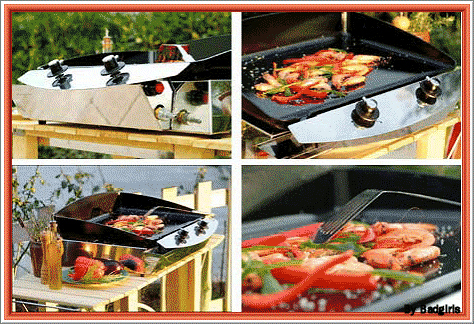 Cuisinez sainement � la plancha! Index du Forum