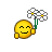 offre fleurs