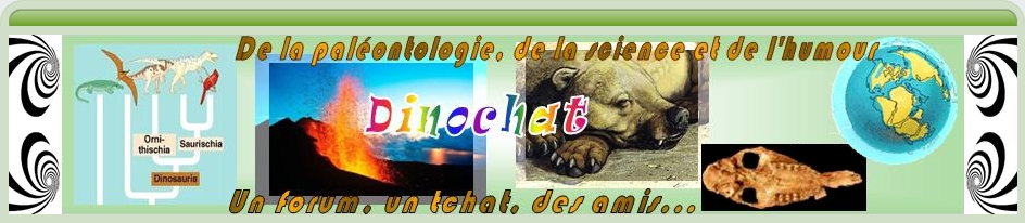 Dinochat Forum Index