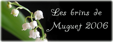 Nos petits brins de muguets Forum Index